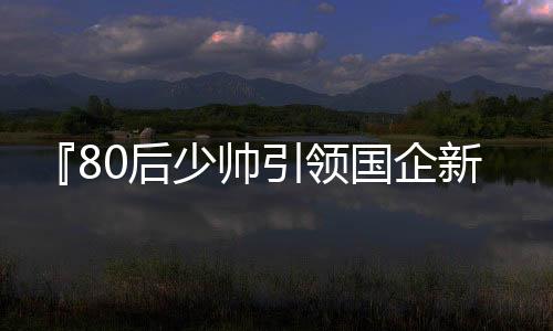 『80后少帥引領國企新時代——重任執(zhí)掌價值千億集團的探索之旅』