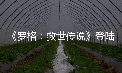 《羅格：救世傳說(shuō)》登陸Steam 彈幕生存射擊
