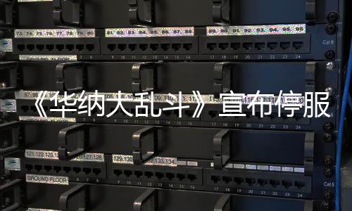 《華納大亂斗》宣布停服之后 游戲總監(jiān)發(fā)文稱深感悲痛
