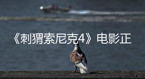《刺猬索尼克4》電影正在制作中 預(yù)計(jì)2027年上映