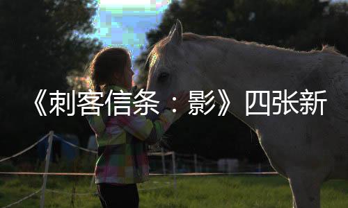 《刺客信條：影》四張新截圖 其中一張嚇壞國外玩家