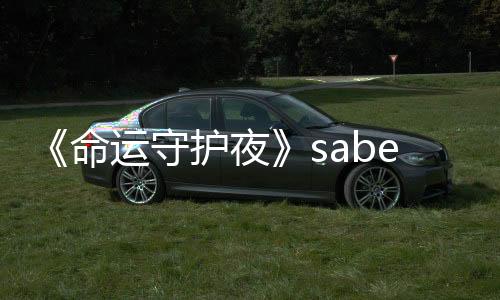 《命運守護夜》saber新手辦  竟能放ex咖喱棒