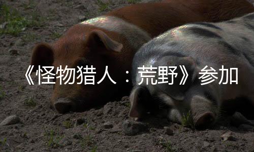 《怪物獵人：荒野》參加臺(tái)北電玩展 將公布“毒怪鳥(niǎo)”實(shí)機(jī)演示