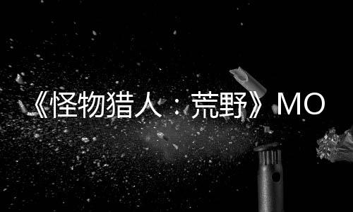 《怪物獵人：荒野》MOD 禁用鏡頭失真畫面更清晰