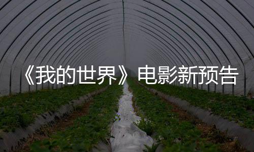 《我的世界》電影新預(yù)告片發(fā)布 方形大熊貓還原度拉滿