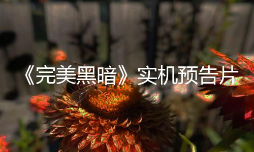 《完美黑暗》實(shí)機(jī)預(yù)告片公布 正式發(fā)售或尚需時(shí)日