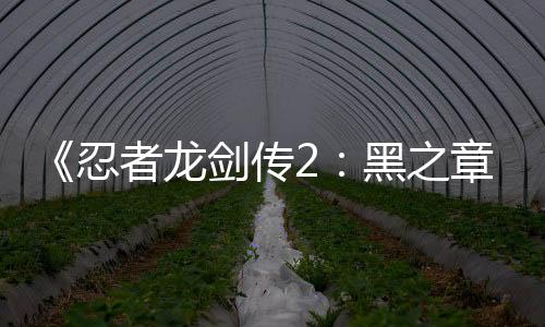 《忍者龍劍傳2：黑之章》PC版發(fā)售后 被迅速攻破
