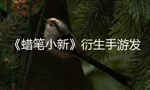 《蠟筆小新》衍生手游發(fā)布 破爛寶貝收集大冒險