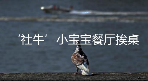 ‘社牛’小寶寶餐廳挨桌打招呼，展現(xiàn)非凡社交天賦