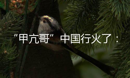 “甲亢哥”中國行火了：跨文化對話其實可以很簡單
