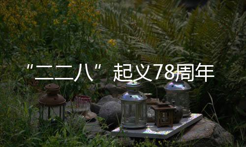 “二二八”起義78周年：勿讓“臺獨(dú)史觀”歪曲臺灣愛國主義傳統(tǒng)