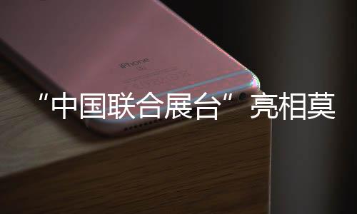 “中國(guó)聯(lián)合展臺(tái)”亮相莫斯科世界內(nèi)容市場(chǎng)交易展