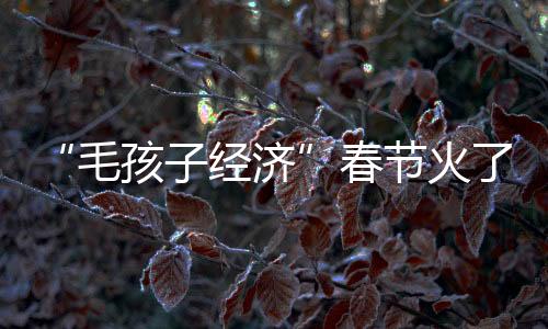 “毛孩子經(jīng)濟”春節(jié)火了 你家萌寵這個節(jié)怎么過？