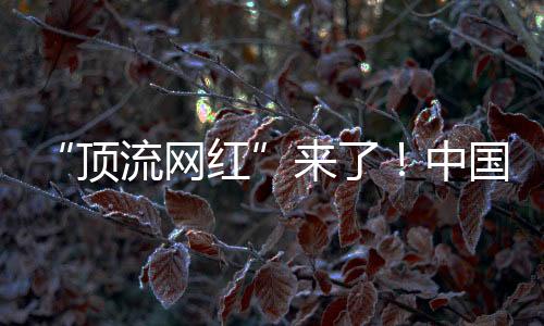 “頂流網(wǎng)紅”來(lái)了！中國(guó)大熊貓萌翻美國(guó)華盛頓