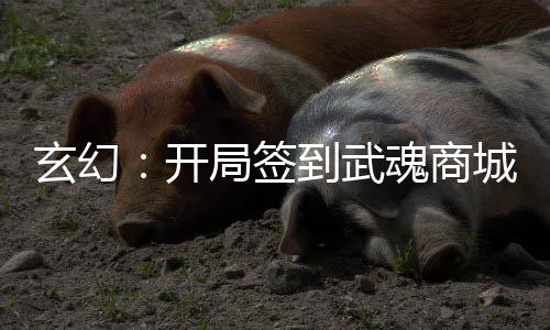 玄幻：開局簽到武魂商城
