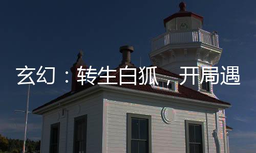 玄幻：轉(zhuǎn)生白狐，開局遇仙人指路