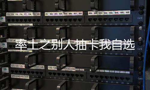 率土之別人抽卡我自選