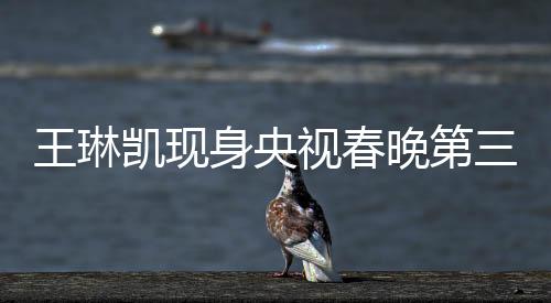 王琳凱現(xiàn)身央視春晚第三次聯(lián)排，備受矚目的音樂才子驚艷全場