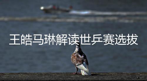 王皓馬琳解讀世乒賽選拔標準，以實力為核心，打造乒壇精英團隊