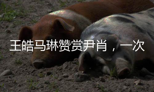 王皓馬琳贊賞尹肖，一次跨界的鼓舞與肯定