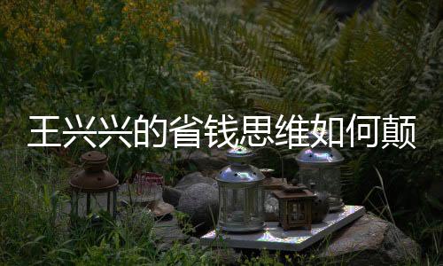 王興興的省錢思維如何顛覆人生