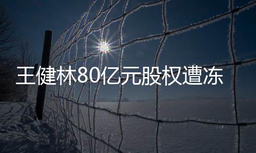 王健林80億元股權遭凍結事件揭秘