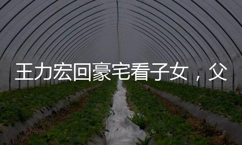 王力宏回豪宅看子女，父愛如山，溫馨團聚時刻