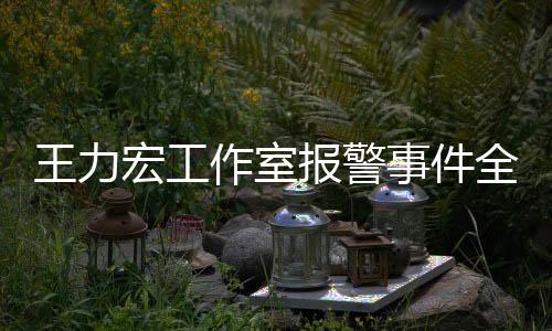 王力宏工作室報警事件全面解析
