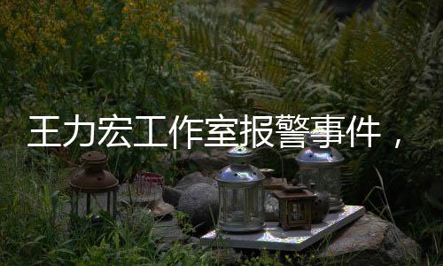 王力宏工作室報(bào)警事件，揭秘背后真相