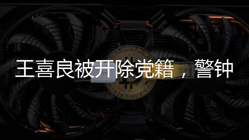 王喜良被開除黨籍，警鐘長(zhǎng)鳴，警醒黨員干部廉潔自律