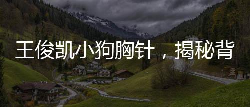 王俊凱小狗胸針，揭秘背后故事與獨特魅力