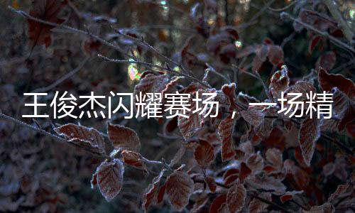 王俊杰閃耀賽場，一場精彩的體育盛宴的三大亮點(diǎn)人物分析之俊杰篇