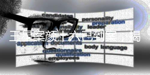 王星案顏十六已到案，揭示案件細節(jié)與社會反響洞察