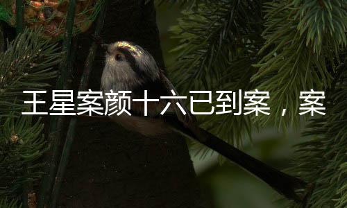 王星案顏十六已到案，案件進(jìn)展詳解
