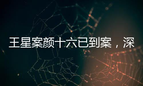 王星案顏十六已到案，深度解析案件進(jìn)展及后續(xù)影響