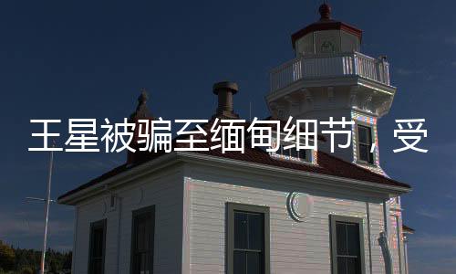 王星被騙至緬甸細(xì)節(jié)，受害者揭開悲慘遭遇的黑幕