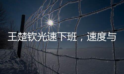 王楚欽光速下班，速度與效率的完美融合