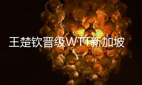 王楚欽晉級(jí)WTT新加坡大滿(mǎn)貫?zāi)袉嗡膹?qiáng)的輝煌表現(xiàn)