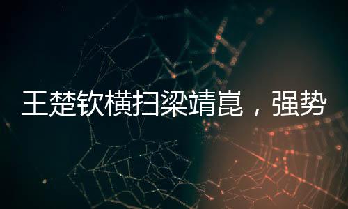 王楚欽橫掃梁靖崑，強勢奪冠，展現(xiàn)乒壇風(fēng)采