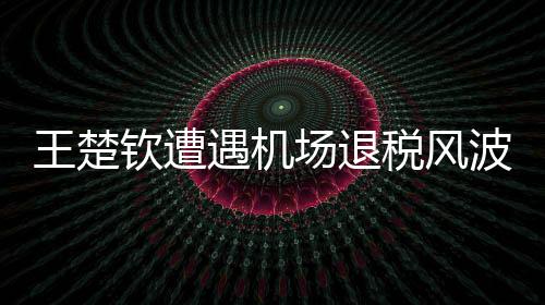 王楚欽遭遇機場退稅風波，引發(fā)社會熱議