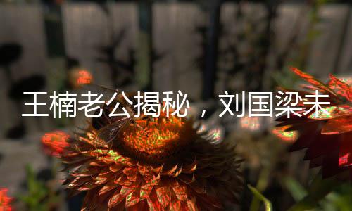 王楠老公揭秘，劉國梁未曾依賴國家資金一分一毫