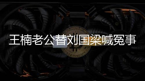 王楠老公替劉國(guó)梁喊冤事件分析