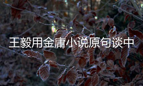 王毅用金庸小說原句談中美關(guān)系，風(fēng)云際會(huì)下的兩國關(guān)系洞察