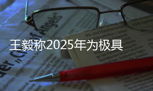 王毅稱2025年為極具歷史分量的年份，關鍵里程碑下的全球合作與愿景展望