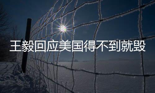 王毅回應(yīng)美國得不到就毀行為，展現(xiàn)大國擔(dān)當(dāng)與戰(zhàn)略定力
