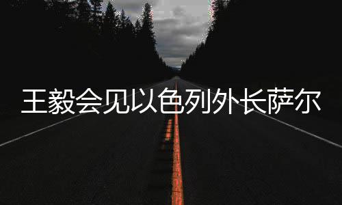 王毅會見以色列外長薩爾，深化中以致遠的外交合作