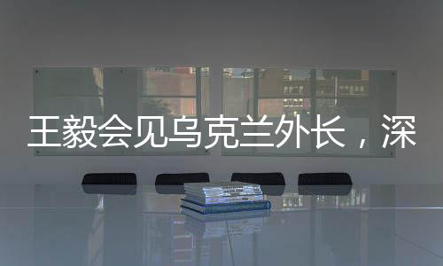 王毅會見烏克蘭外長，深化合作、促進理解的中烏外交新篇章