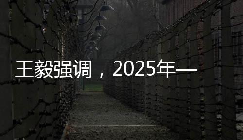 王毅強(qiáng)調(diào)，2025年——一個(gè)極具歷史分量的年份