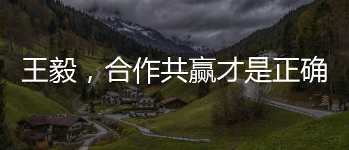王毅，合作共贏才是正確選擇