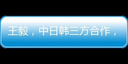 王毅，中日韓三方合作，遠親不如近鄰